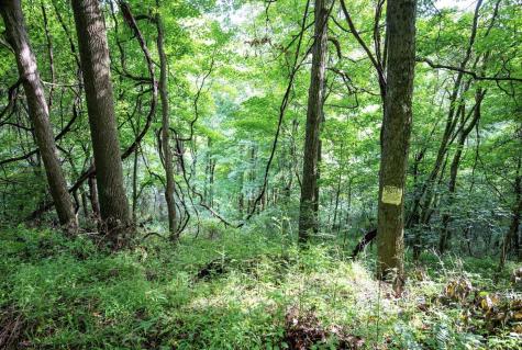 1 Buck Lick Road Terra Alta WV 26764