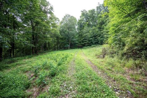 1 Buck Lick Road Terra Alta WV 26764