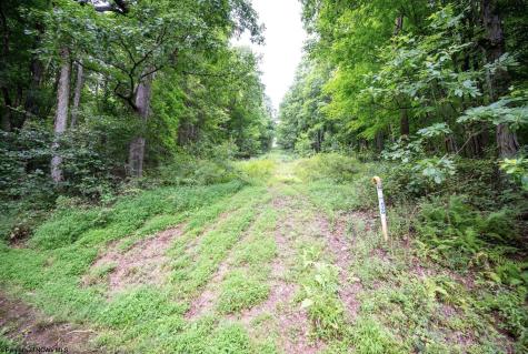 1 Buck Lick Road Terra Alta WV 26764
