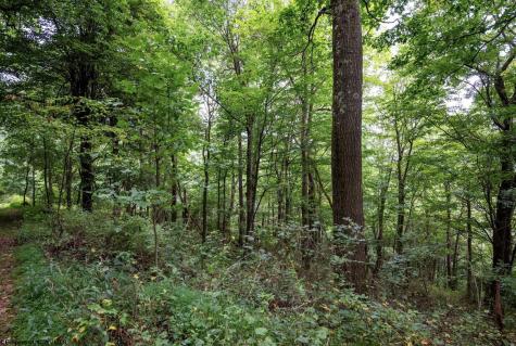 1 Buck Lick Road Terra Alta WV 26764