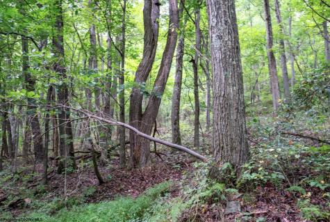 1 Buck Lick Road Terra Alta WV 26764