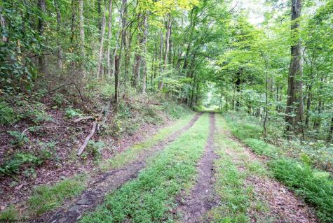 1 Buck Lick Road Terra Alta WV 26764