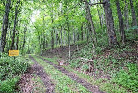 1 Buck Lick Road Terra Alta WV 26764