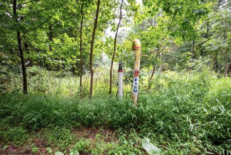1 Buck Lick Road Terra Alta WV 26764