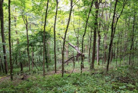 1 Buck Lick Road Terra Alta WV 26764