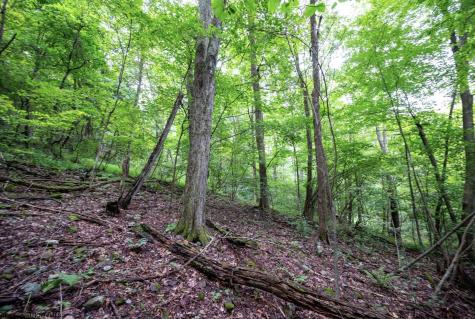 1 Buck Lick Road Terra Alta WV 26764