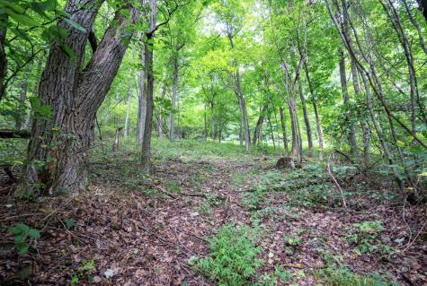 1 Buck Lick Road Terra Alta WV 26764