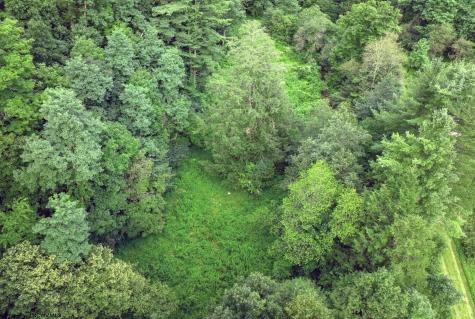1 Buck Lick Road Terra Alta WV 26764