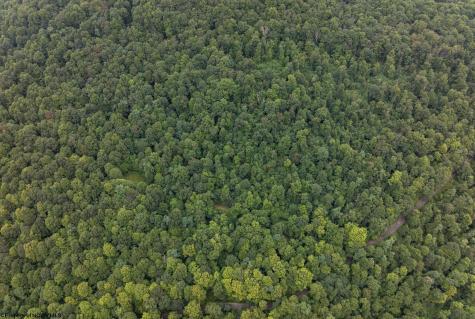 1 Buck Lick Road Terra Alta WV 26764