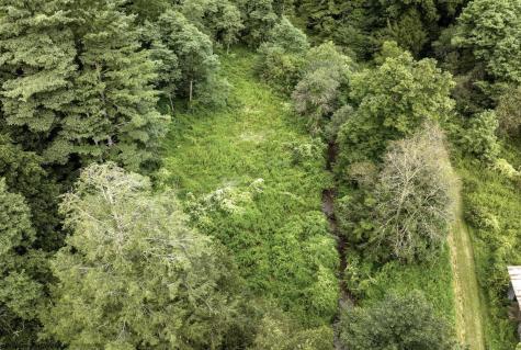 1 Buck Lick Road Terra Alta WV 26764