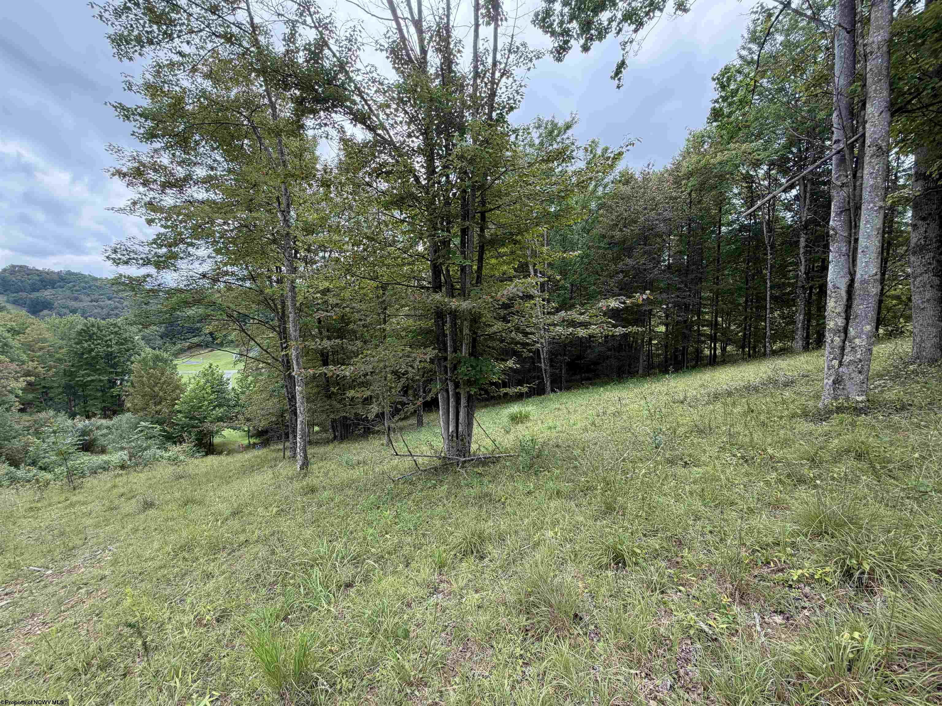 0 Doe Lane Buckhannon WV 26201