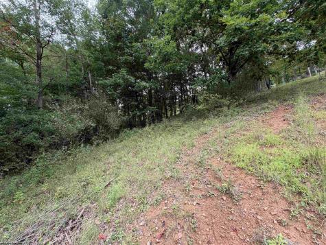 0 Doe Lane Buckhannon WV 26201