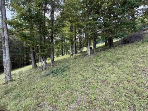 0 Doe Lane Buckhannon WV 26201