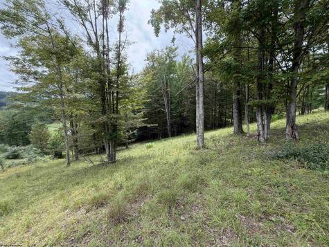0 Doe Lane Buckhannon WV 26201
