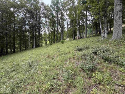 0 Doe Lane Buckhannon WV 26201