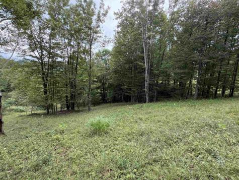 0 Doe Lane Buckhannon WV 26201