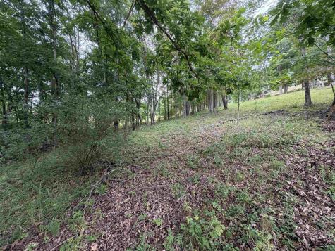 0 Doe Lane Buckhannon WV 26201