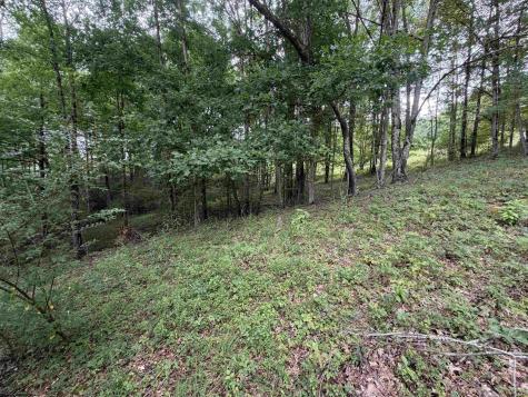 0 Doe Lane Buckhannon WV 26201