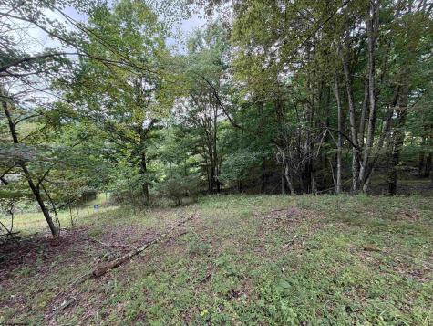 0 Doe Lane Buckhannon WV 26201