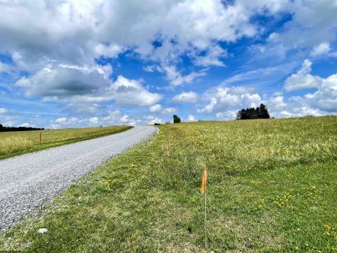 0 Mallow Lake Drive Davis WV 26260