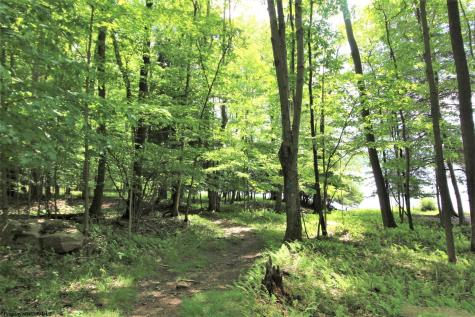 256 Azalea Drive Terra Alta WV 26764