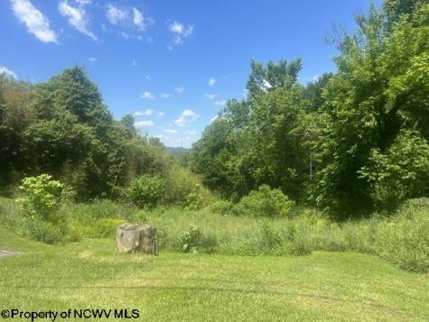 1168 Boulevard Avenue Fairmont WV 26554