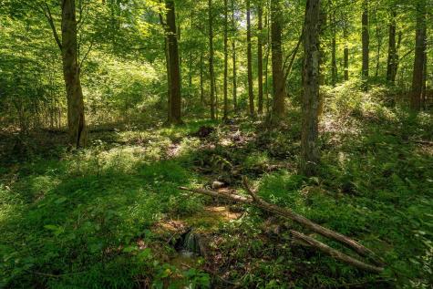 600 Mayfield Road Morgantown WV 26508