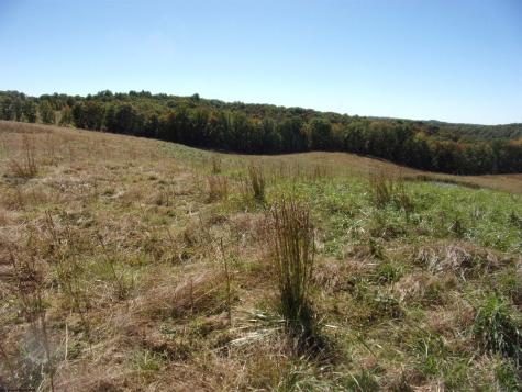 0 Everson Road Buckhannon WV 26201