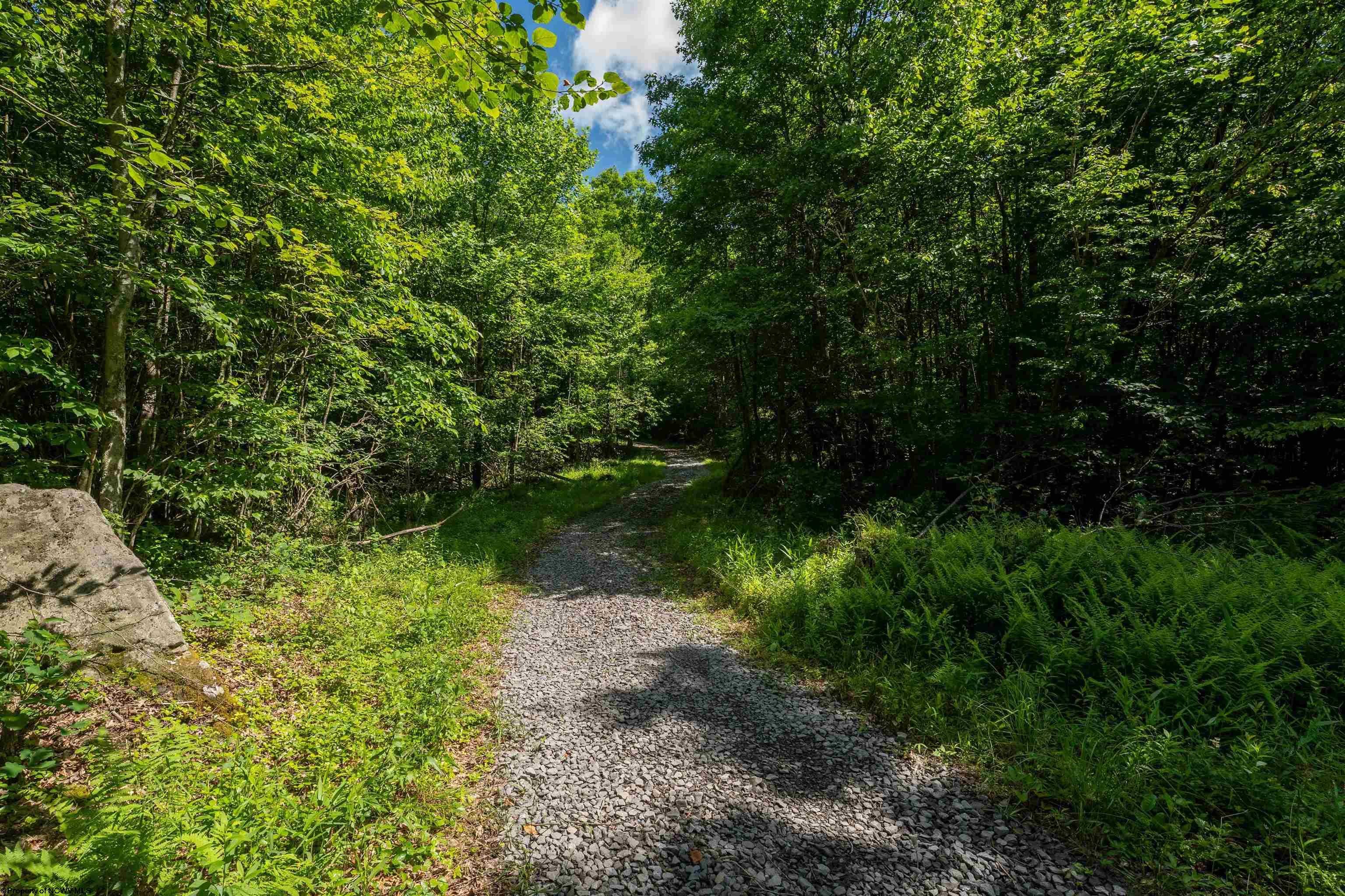 3091 Pleasantdale Road Kingwood WV 26537