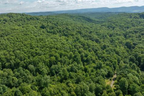3091 Pleasantdale Road Kingwood WV 26537