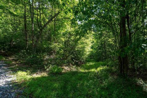 3091 Pleasantdale Road Kingwood WV 26537