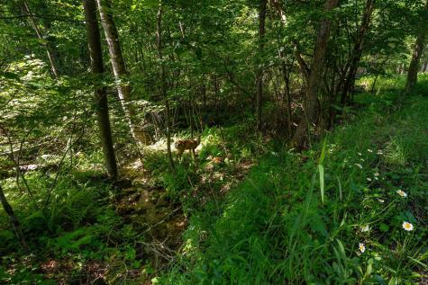 3091 Pleasantdale Road Kingwood WV 26537