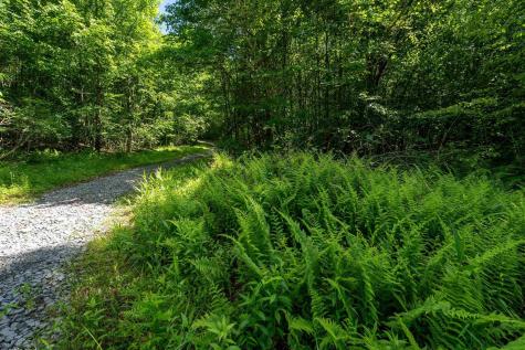 3091 Pleasantdale Road Kingwood WV 26537