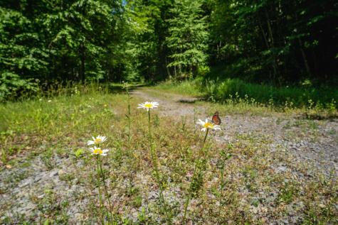 3091 Pleasantdale Road Kingwood WV 26537