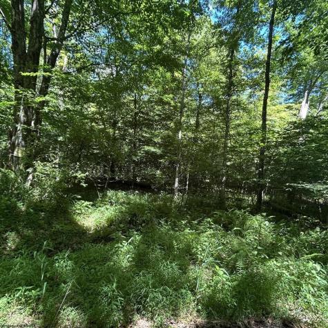 3091 Pleasantdale Road Kingwood WV 26537