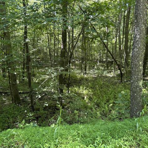 3091 Pleasantdale Road Kingwood WV 26537