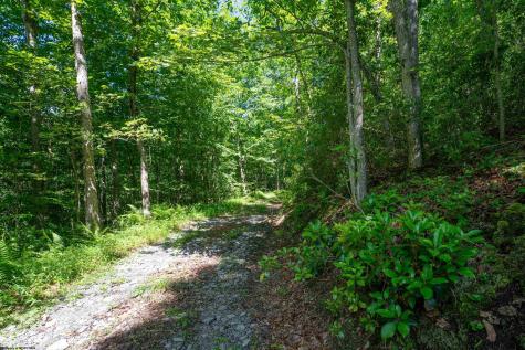 3091 Pleasantdale Road Kingwood WV 26537