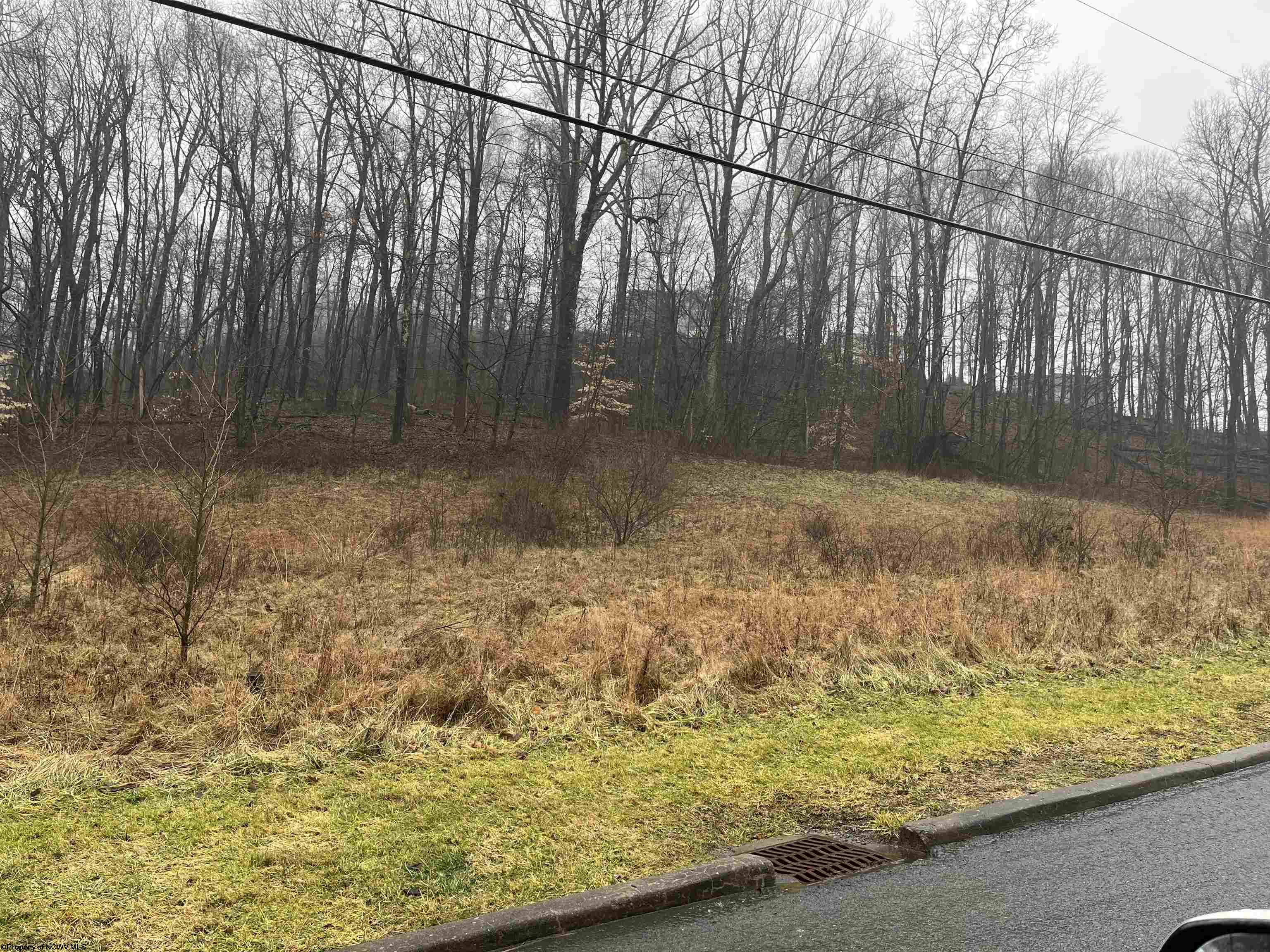 8 Meadowland Drive Morgantown WV 26505