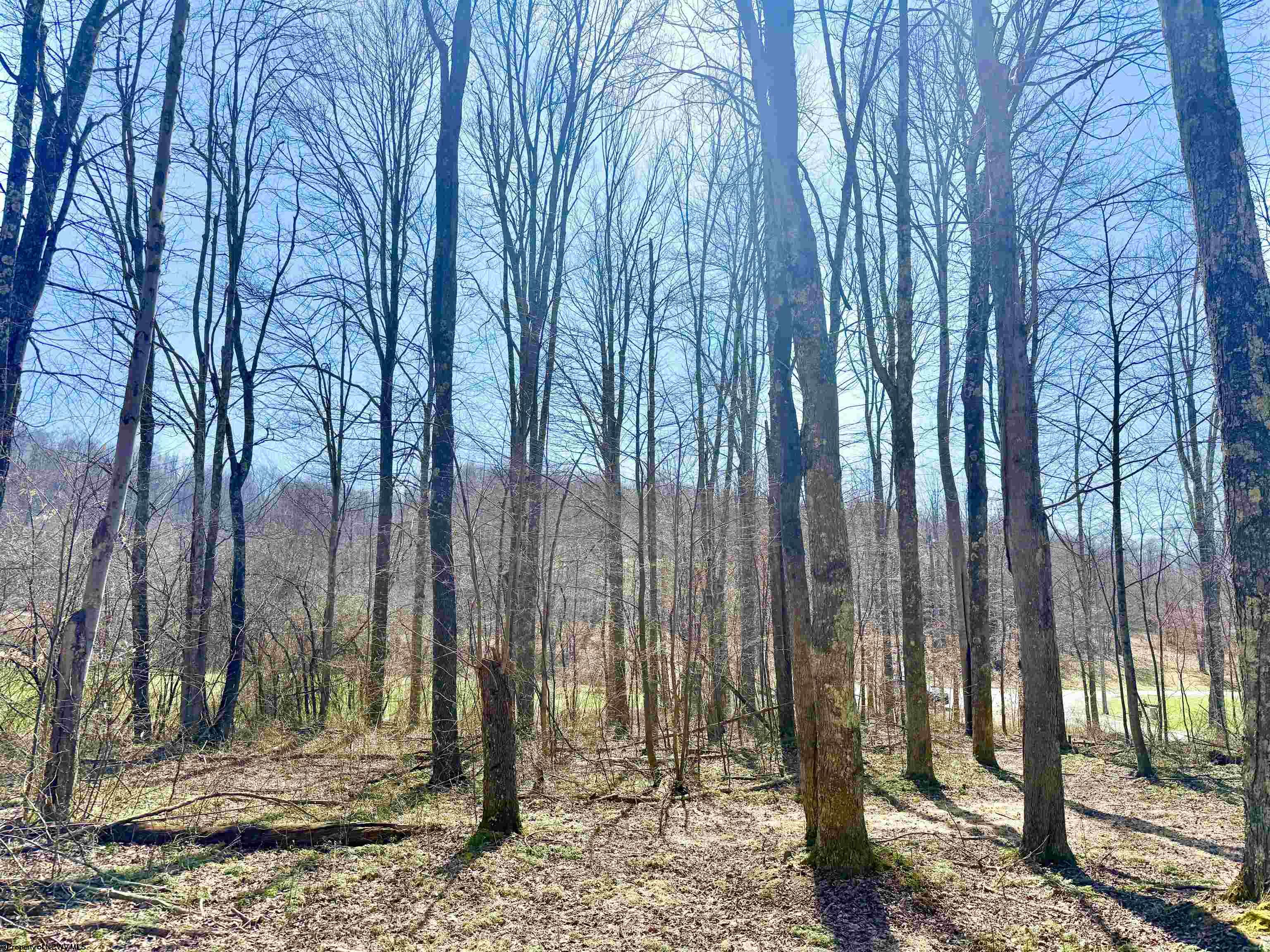 21 Poplar Drive Grafton WV 26354