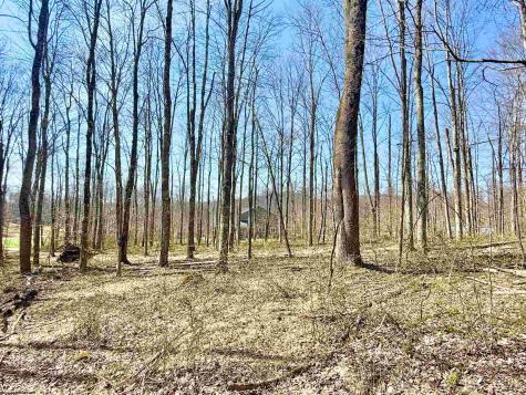 21 Poplar Drive Grafton WV 26354