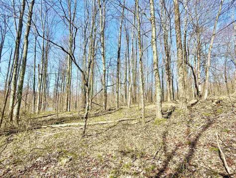 21 Poplar Drive Grafton WV 26354
