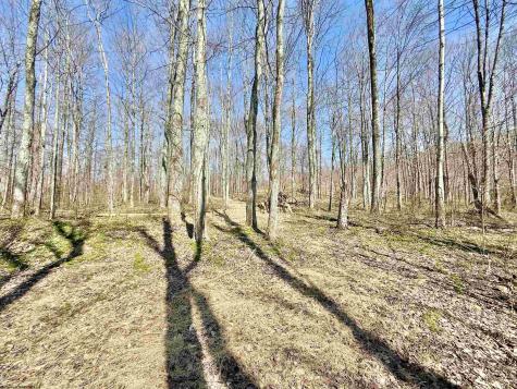 21 Poplar Drive Grafton WV 26354