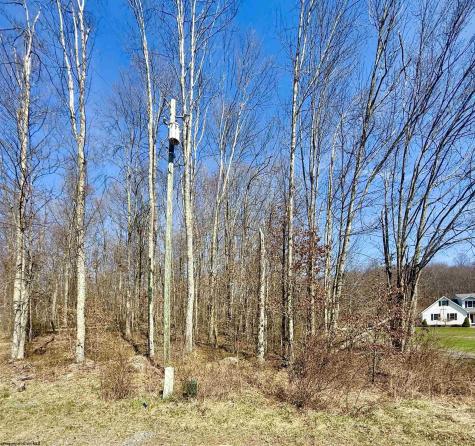 21 Poplar Drive Grafton WV 26354