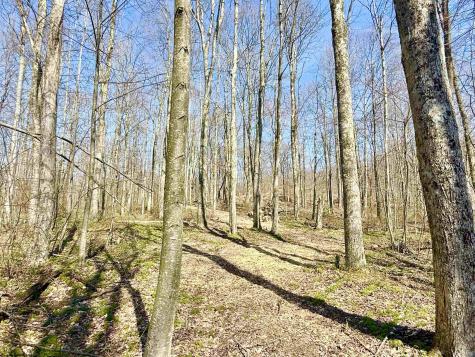 21 Poplar Drive Grafton WV 26354