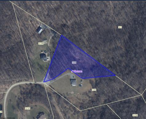 21 Poplar Drive Grafton WV 26354