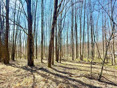 21 Poplar Drive Grafton WV 26354