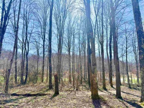 21 Poplar Drive Grafton WV 26354