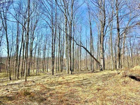 21 Poplar Drive Grafton WV 26354