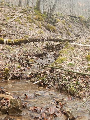 9 Harper Trail Valley Bend WV 26293