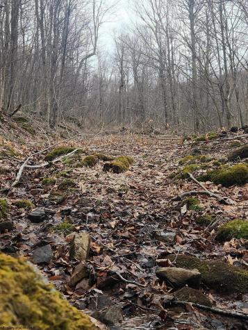 9 Harper Trail Valley Bend WV 26293